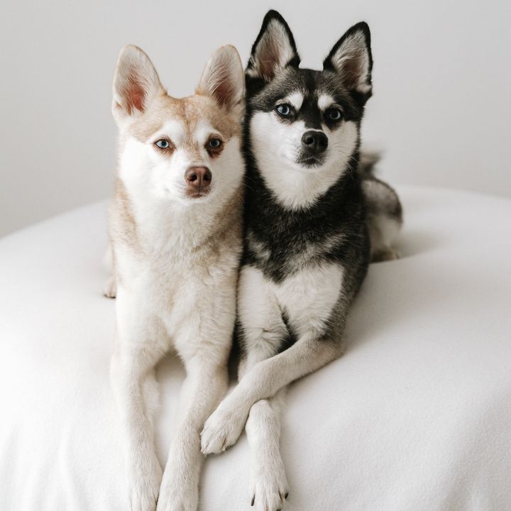 lifewithkleekai