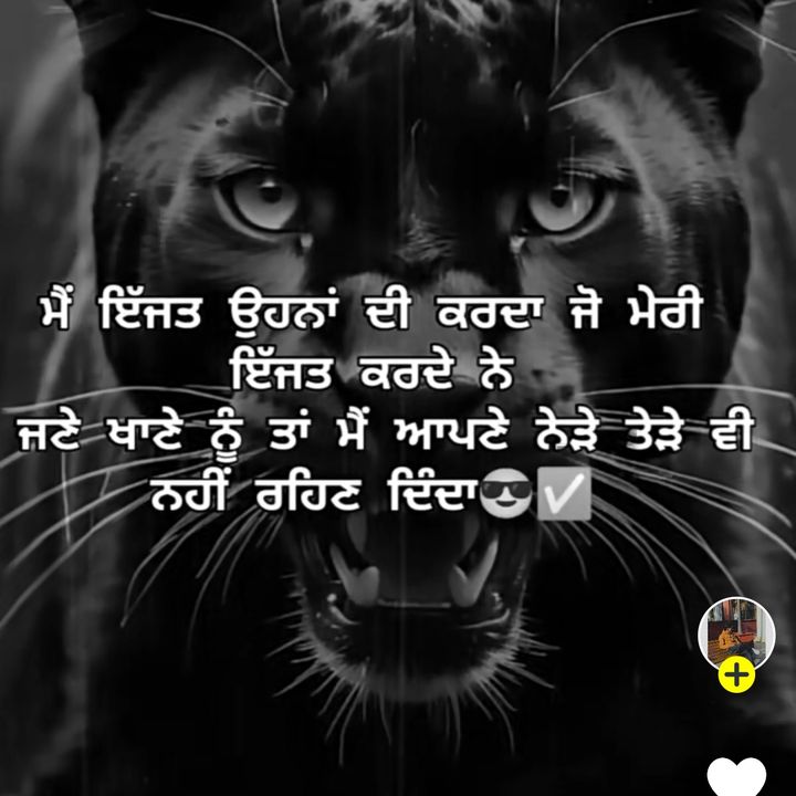 freshypunjab