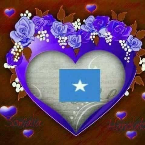Hassan Osman