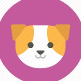 bunnytherabbitdog