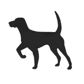 American Fetcher