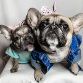 HouseofLollieAndLola