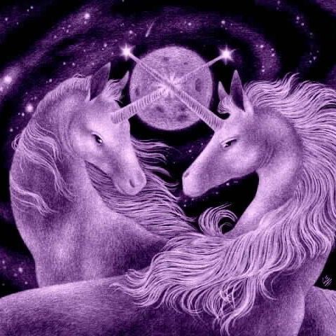 chamilleee 🦄💜