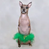 Nessie McNubbins