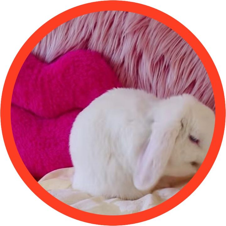 ❤Binky Harvey❤
