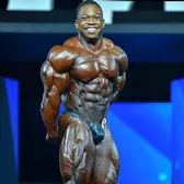 kingq_ifbbpro