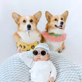Nayothecorgi