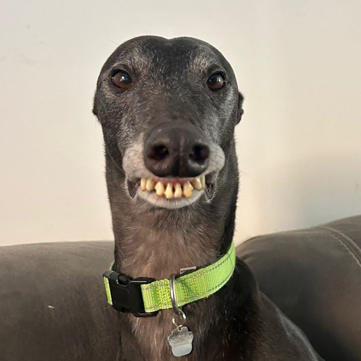 Lenny