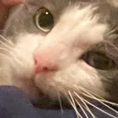 izzy 🤠🤠🤠