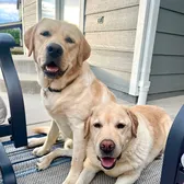 Bo and Reggie