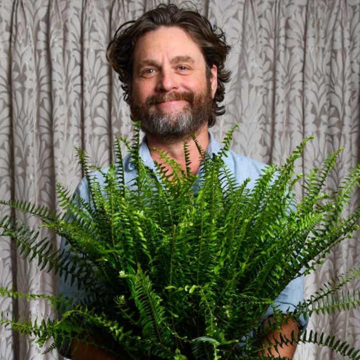 Between Two Ferns