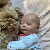 Ralphie The Cavapoo & His Sis