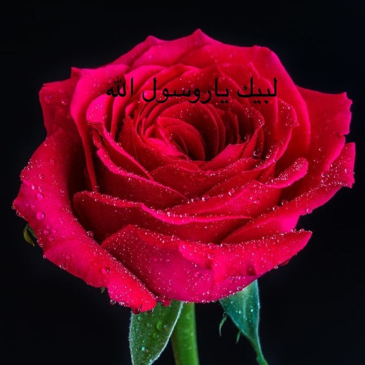 Hussain uk