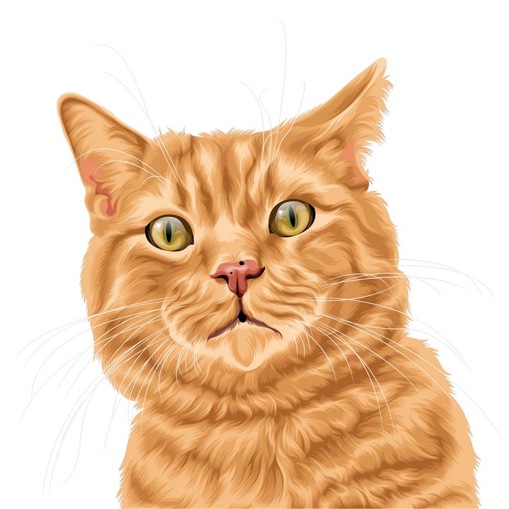Magnus the Orange