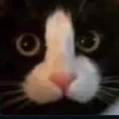 ㅤ