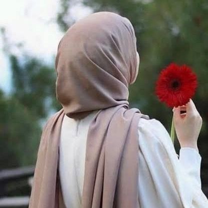 Sh salehi