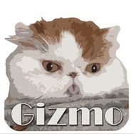 Gizmo’z Bizmo