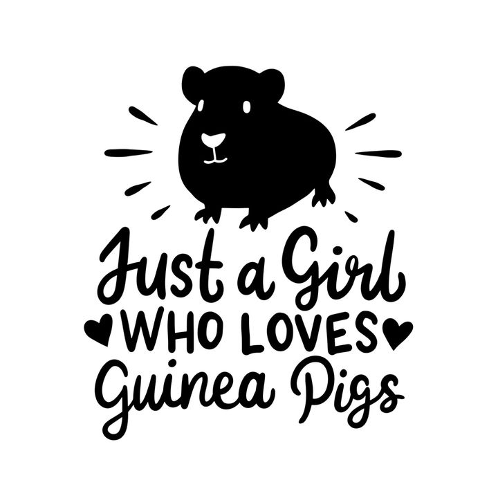 Amy’s Cavies & Farm Life