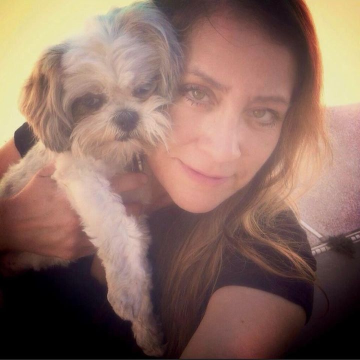 Patricia Zine Paw Angel🐕‍🦺
