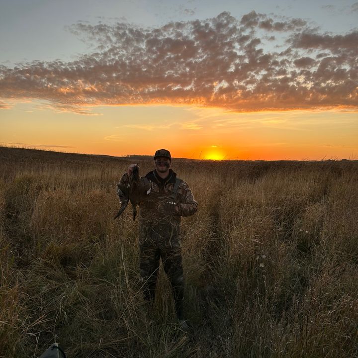 dawn_patroloutdoors