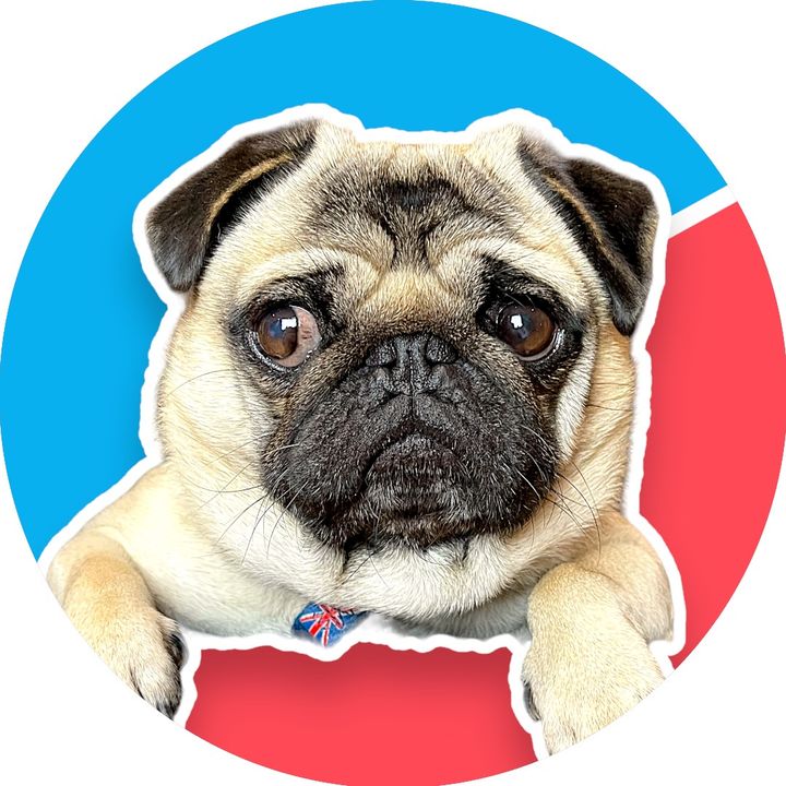 Pangpang the Pug