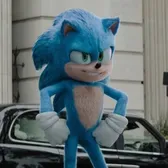 CinosAntiHedgehog