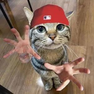 bizkit lover 329