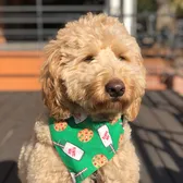 Uptown Pup Dallas