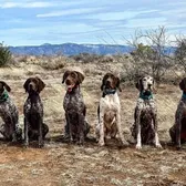 Ruger & Niche