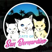 catsofsanbernardino