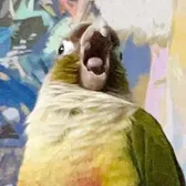 Angus.McBangus