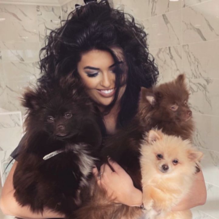 vanityfurrdoggroomers