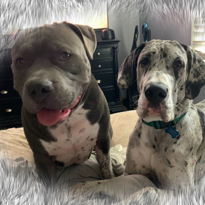 Lincoln&Landon