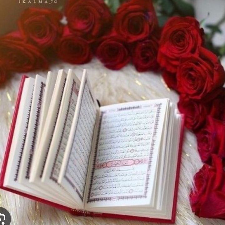 Amir🌺🕋قران کریم🕋🌺
