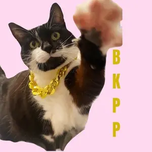 Big Kitty Puss Puss 🐈⬛