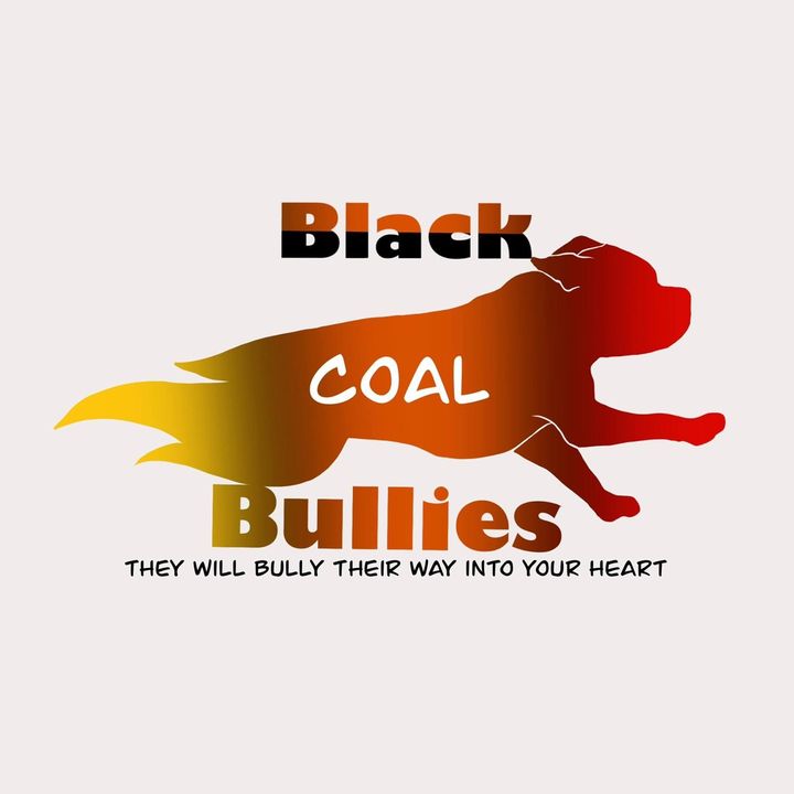 Black Coal Bullies