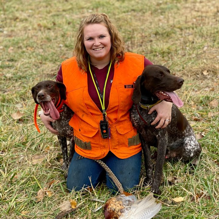 The bird dogs and me