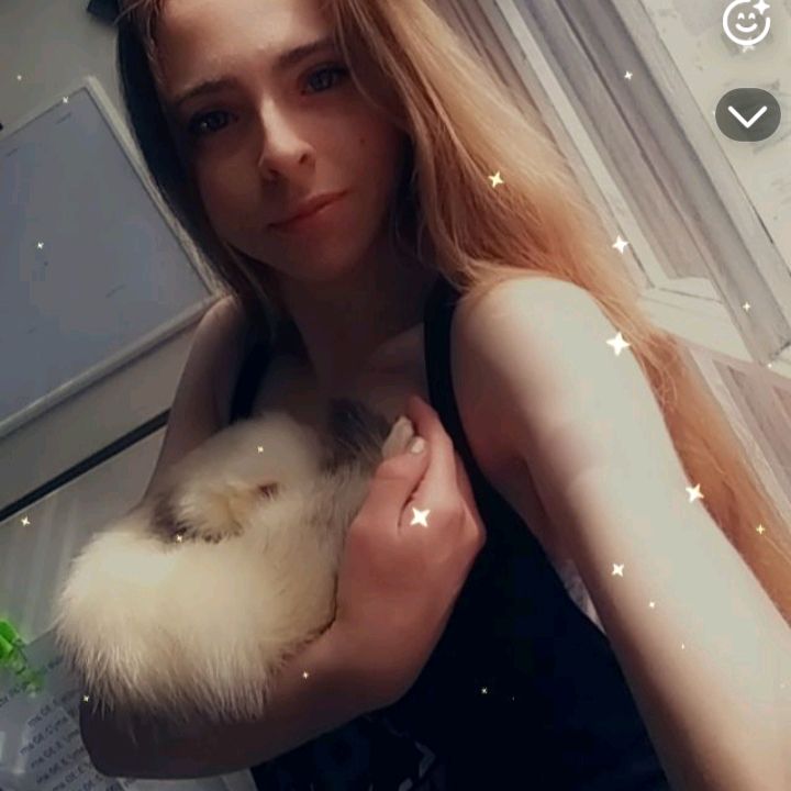 🐾❤️Samantha❤️🐾