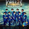 Lobillos musical de