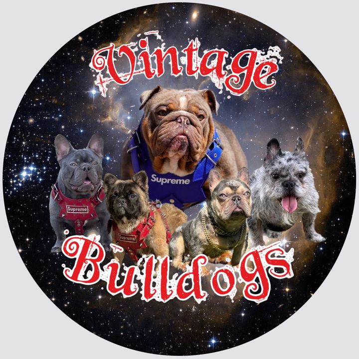Vintage bulldogs