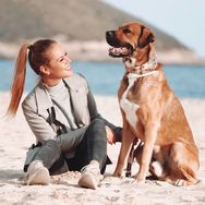 Hundetussi