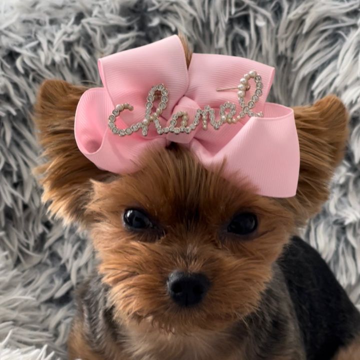 Dior 💕