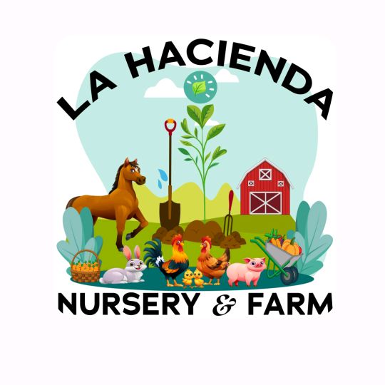 La Hacienda
