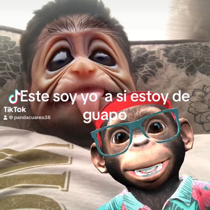 Funny videos 2027!
