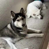 Bonnie&Blue