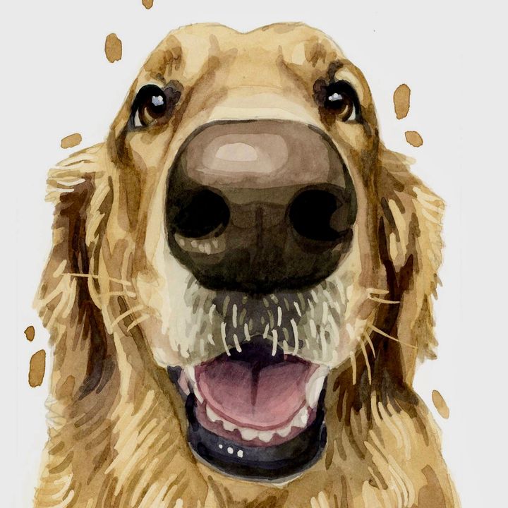 Oden