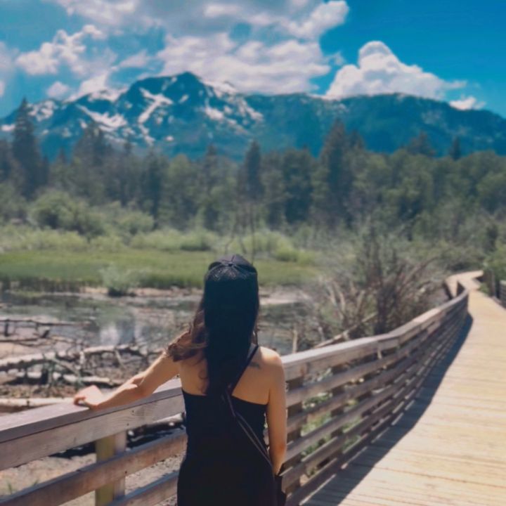thetravelingpoet