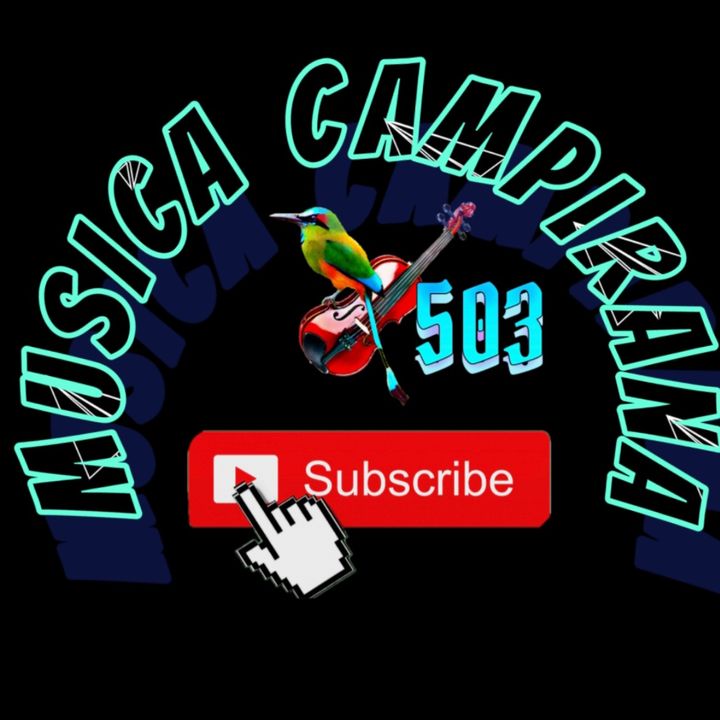 MÚSICA CAMPIRANA 503
