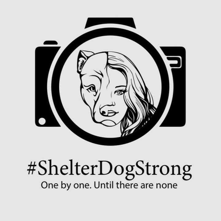 ShelterDogStrong