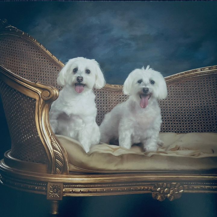 rockyandprinceq_t